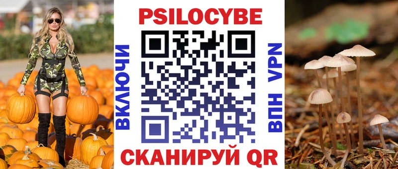 Галлюциногенные грибы Psilocybe  Дивногорск 