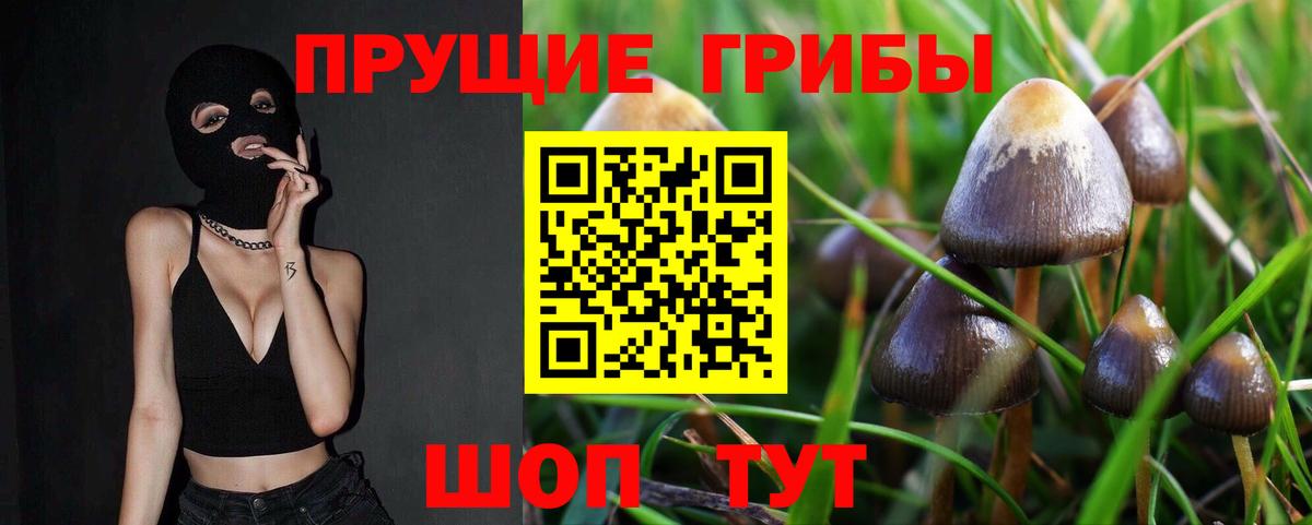 Псилоцибиновые грибы MAGIC MUSHROOMS  Вход с VPN  Дивногорск 